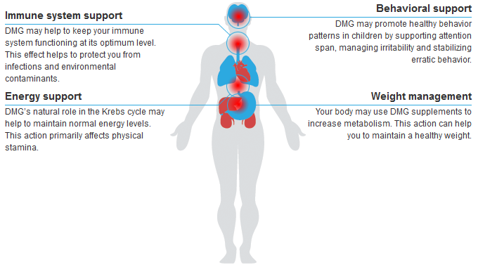 what is dmg supplement